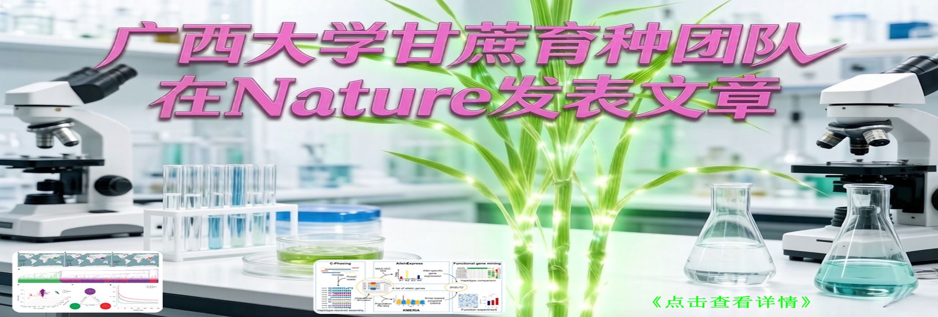 请切换到极速模式访问